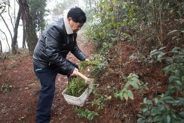 终极小村医龙小山，医术与智慧的最新章节闪耀登场