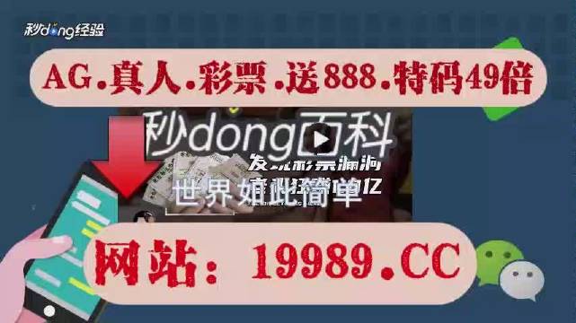 2024年新澳门天天彩开彩免费大全大,快速解答解释定义_Harmony款94.497