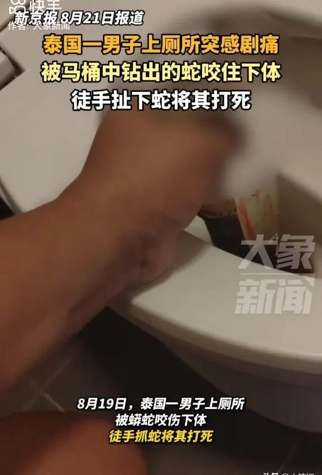 萌蛇星球，下载新世界的探险之旅