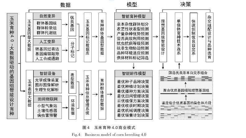 新奥门特免费资料大全凯旋门,数据驱动计划设计_T73.186