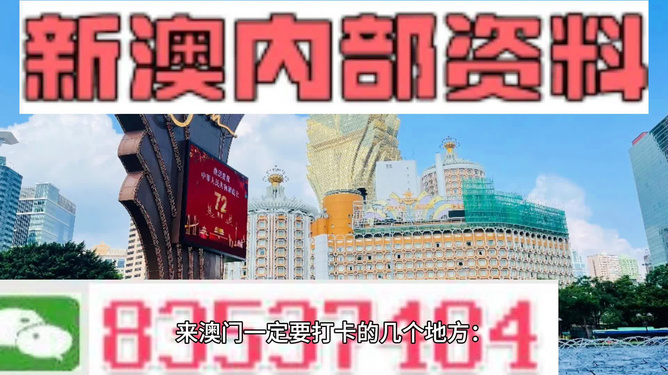 2024新澳门精准免费大全,经典案例解释定义_创新版25.653