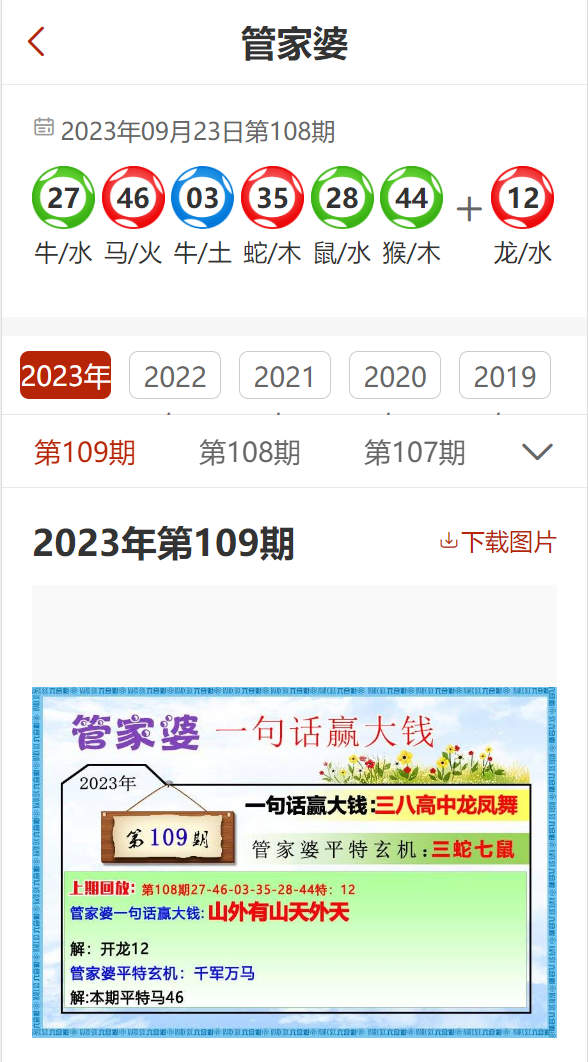 管家婆204年資料一肖,统计分析解释定义_Advance86.107