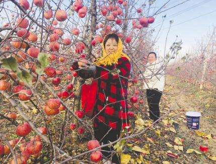 烟台市最新天气概况及栖霞一览