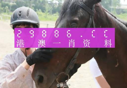 今晚上澳门必中一肖,定性评估说明_完整版69.526