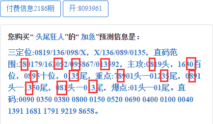 三肖必中三期资料,深入数据执行方案_微型版61.554