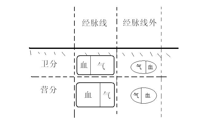 三肖必出三肖一特,实际案例解释定义_Max60.902