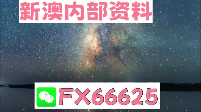 新澳天天彩免费资料2024老,准确资料解释落实_N版14.297