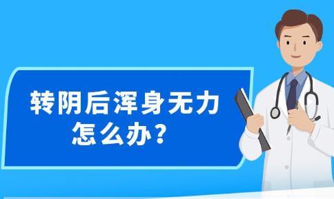 新澳精准资料免费提供,全面解析数据执行_2DM47.38