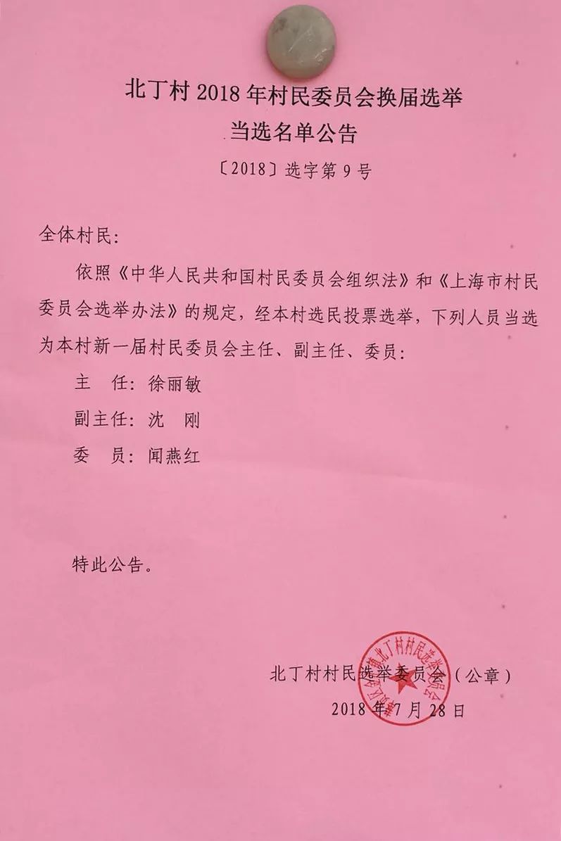 龙凤村委会人事任命新成员，村级治理迈向新台阶