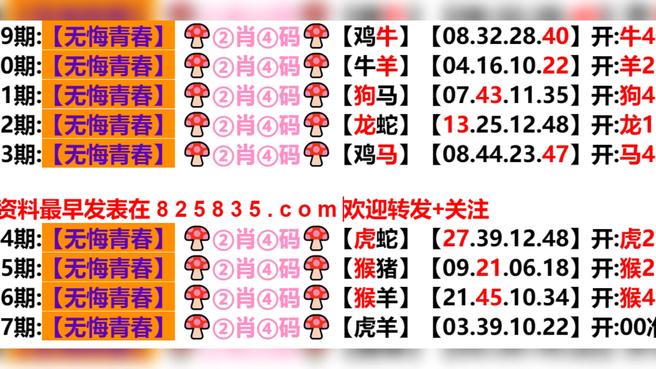 新奥门六开奖结果2024开奖记录,可靠解答解释落实_钻石版35.923