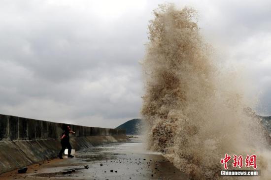 浙江暴雨最新动态，影响与应对策略