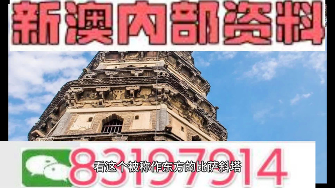 2024新澳精准资料免费提供,澳门内部,综合分析解释定义_W53.517