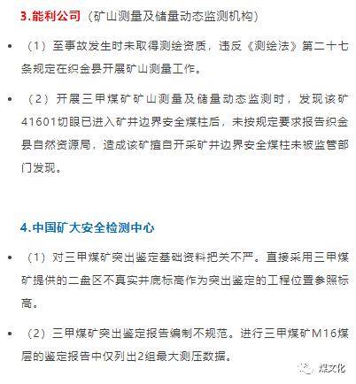 澳门王中王100%期期准确奖四不像,精细分析解释定义_XP57.491