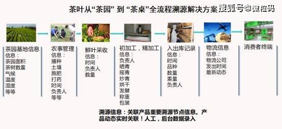 黄大仙一码一肖100,快捷问题策略设计_领航版68.596