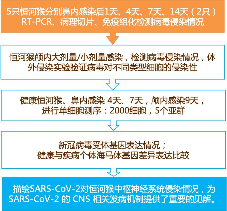 新奥精准资料免费提供,效率资料解释落实_V73.408