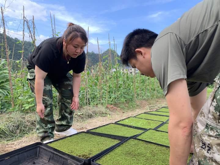 景寧畬族自治縣小學(xué)最新招聘公告概覽