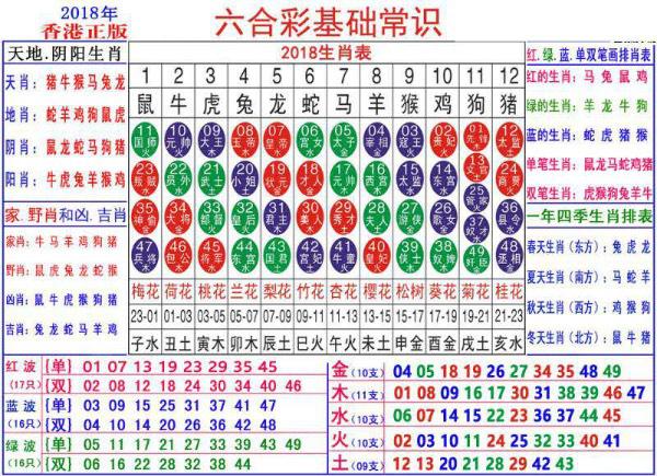 新澳门生肖卡表,具体步骤指导_X87.913