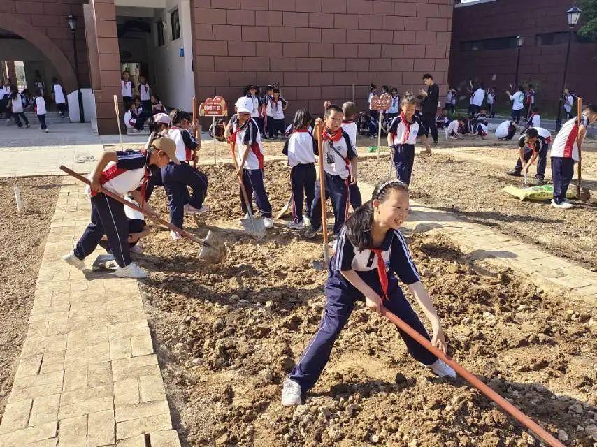 宜川县小学未来发展规划概览