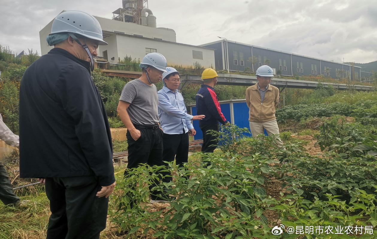 安宁市农业农村局最新动态报道