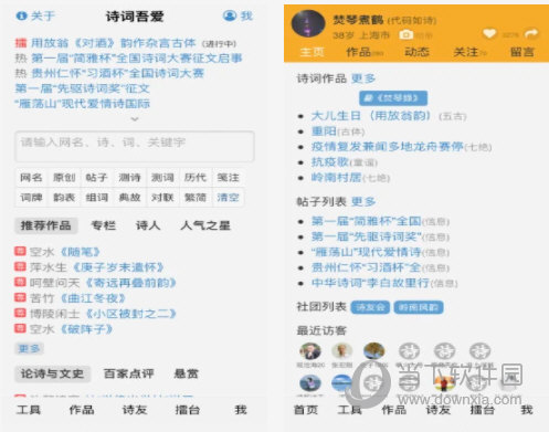 澳门雷锋网站单肖一直错,实际应用解析说明_特别款63.279