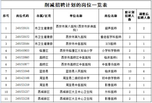 加查县级托养福利事业单位发展规划概览