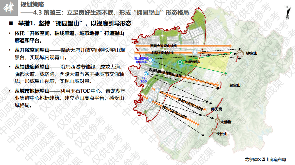 龙泉驿区级托养福利事业单位发展规划展望