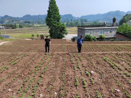 铁岭县农业农村局新项目推动农业现代化，乡村振兴再添新动力