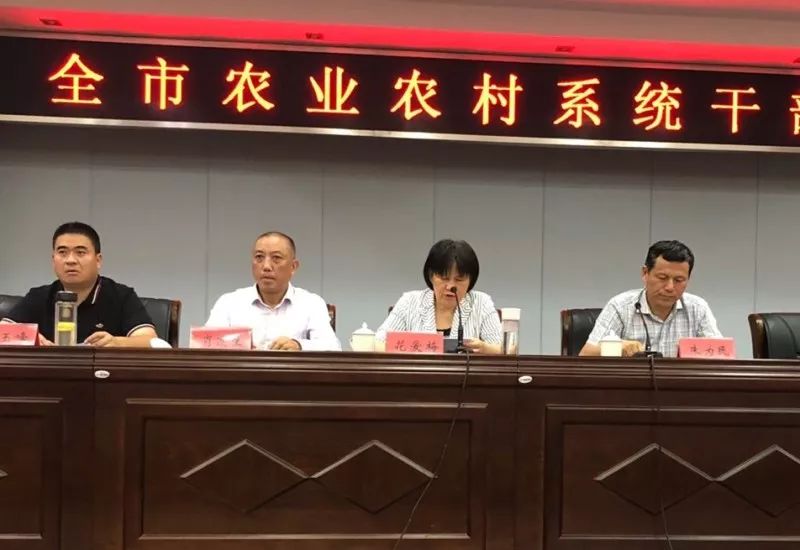 嘉定区农业农村局人事任命揭晓，塑造未来农业新篇章