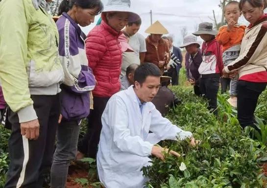 石林彝族自治县计生委最新招聘信息与就业展望