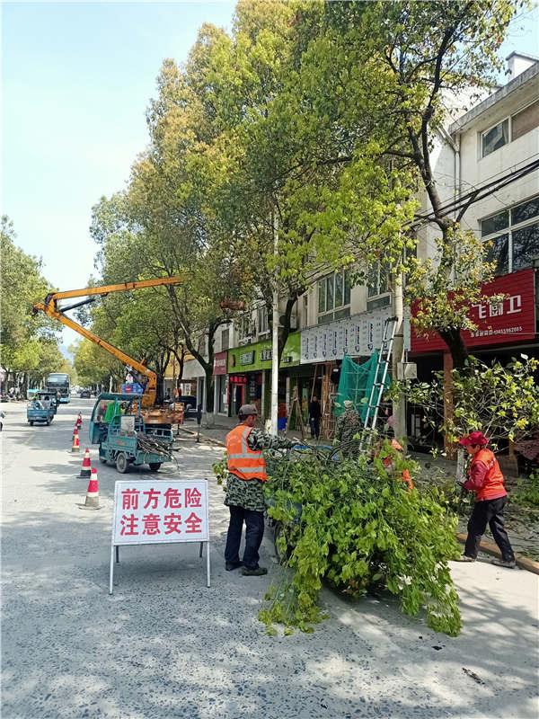 黟县数据和政务服务局最新发展规划深度探讨