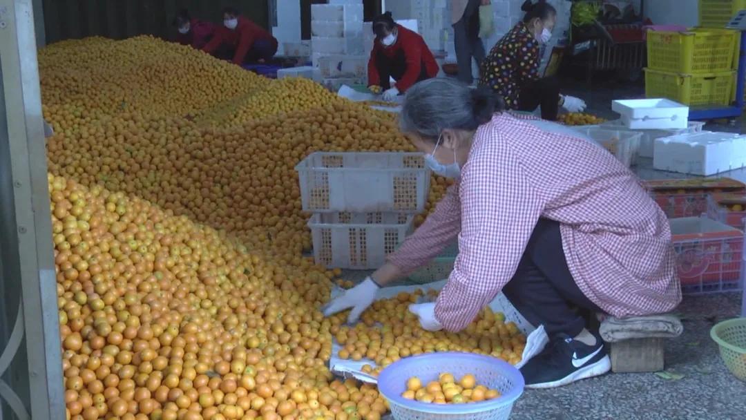 阳朔县防疫检疫站最新动态报道