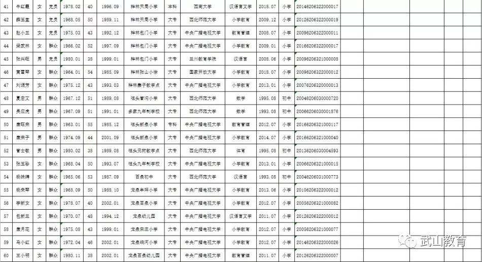 武山县小学最新招聘公告概览