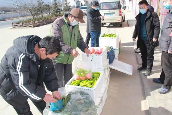 太白县农业农村局推动农业现代化，助力乡村振兴新动态