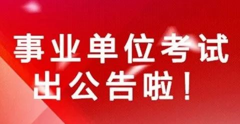 杞县审计局最新招聘信息详解，职位、要求与相关内容一网打尽