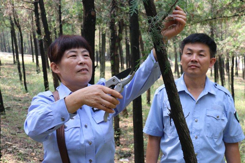 罗山府林场天气预报更新通知