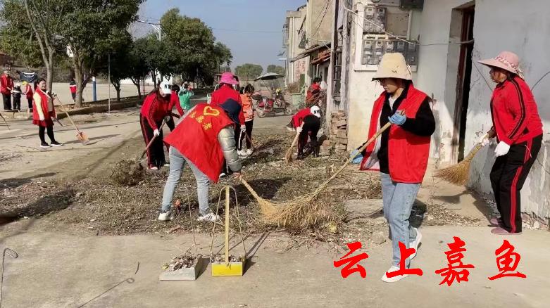 嘉鱼县民政局新项目，县域社会进步与民生改善的关键驱动力