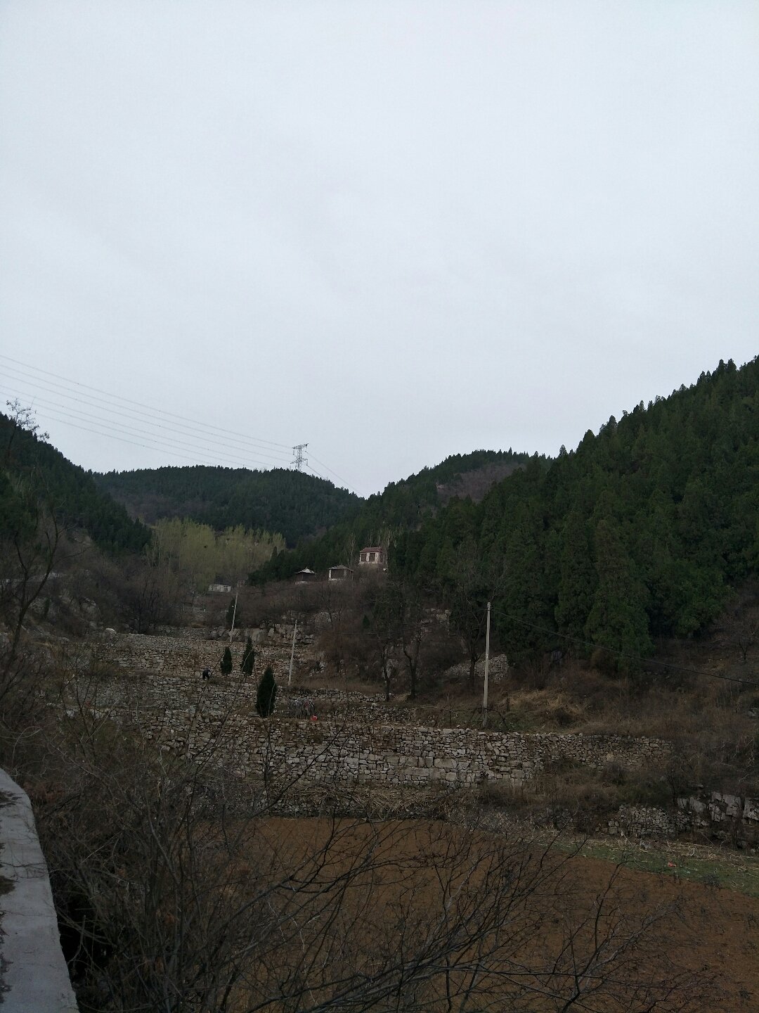 缓岭经营所天气预报更新通知