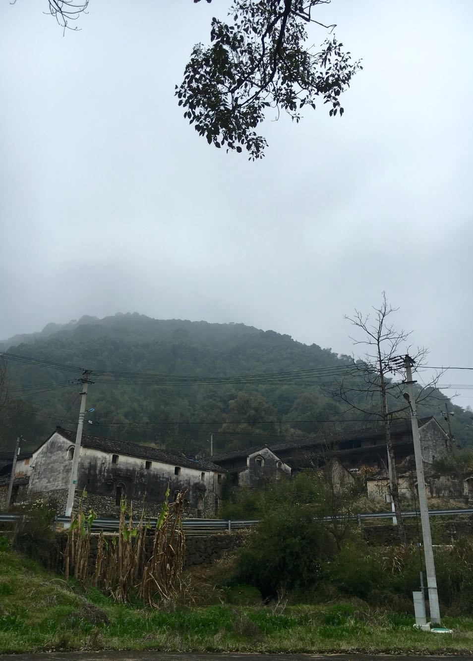 西柯镇天气预报更新通知