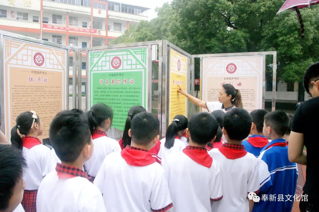 奉新县小学最新动态报道