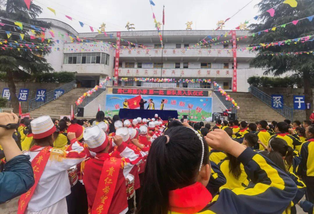 纳雍县小学最新发展规划