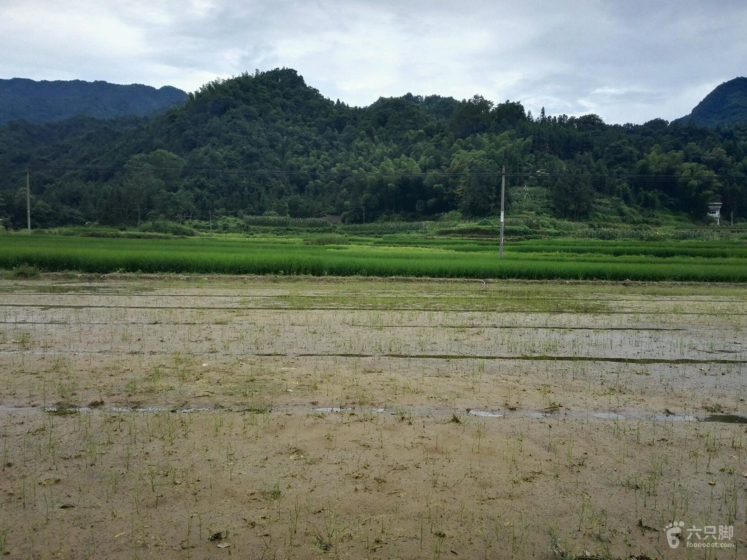 秧田村天气预报更新通知