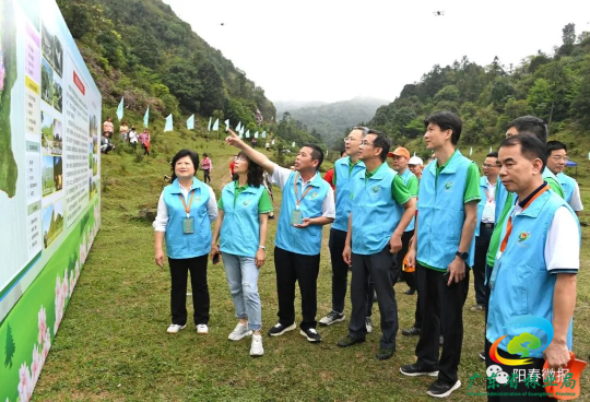 陽江市林業(yè)局綠色生態(tài)建設項目的未來展望