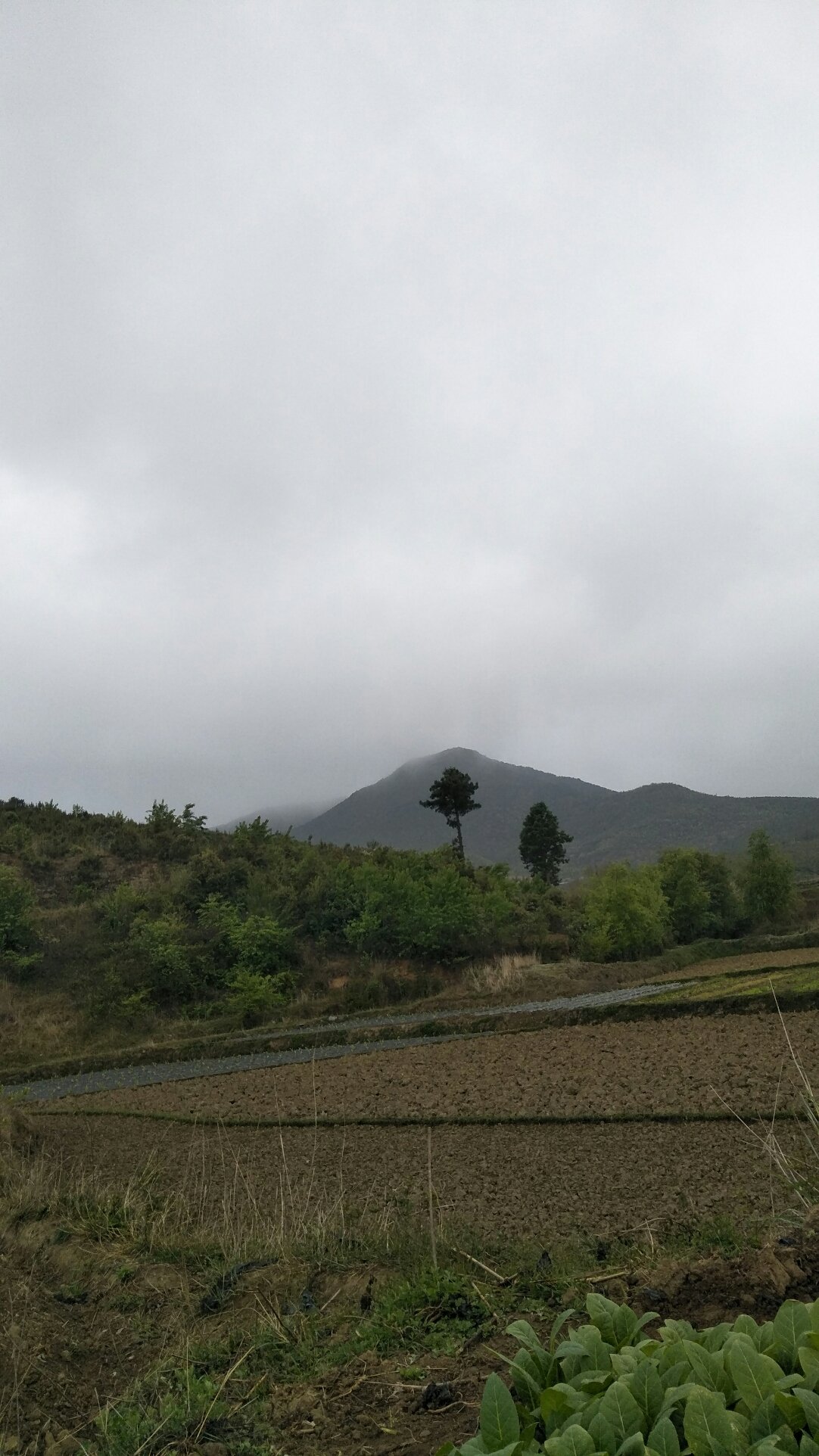 马头营镇天气预报更新通知